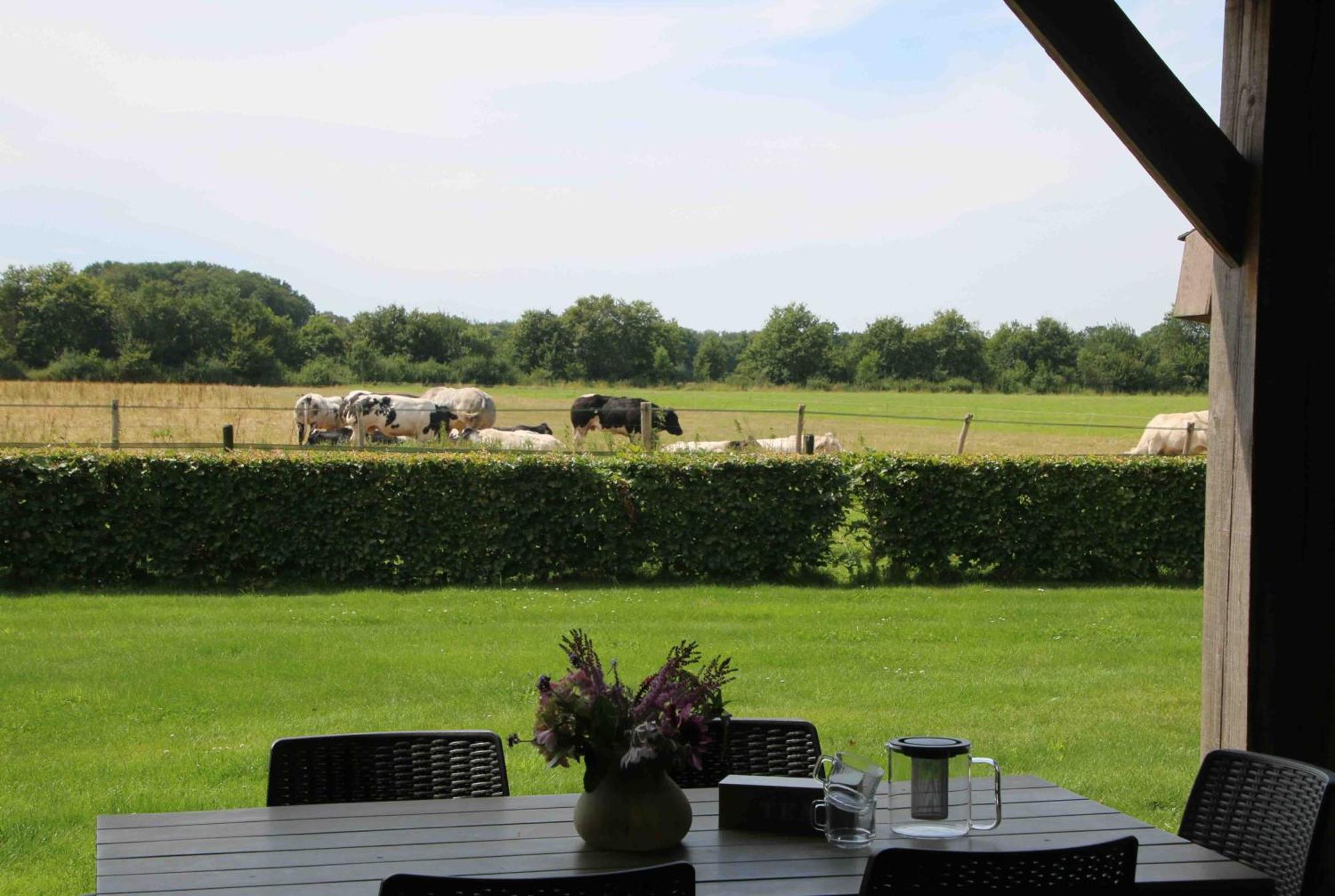 Vakantiehuis Weideblik Biezenmortel Exteriör bild