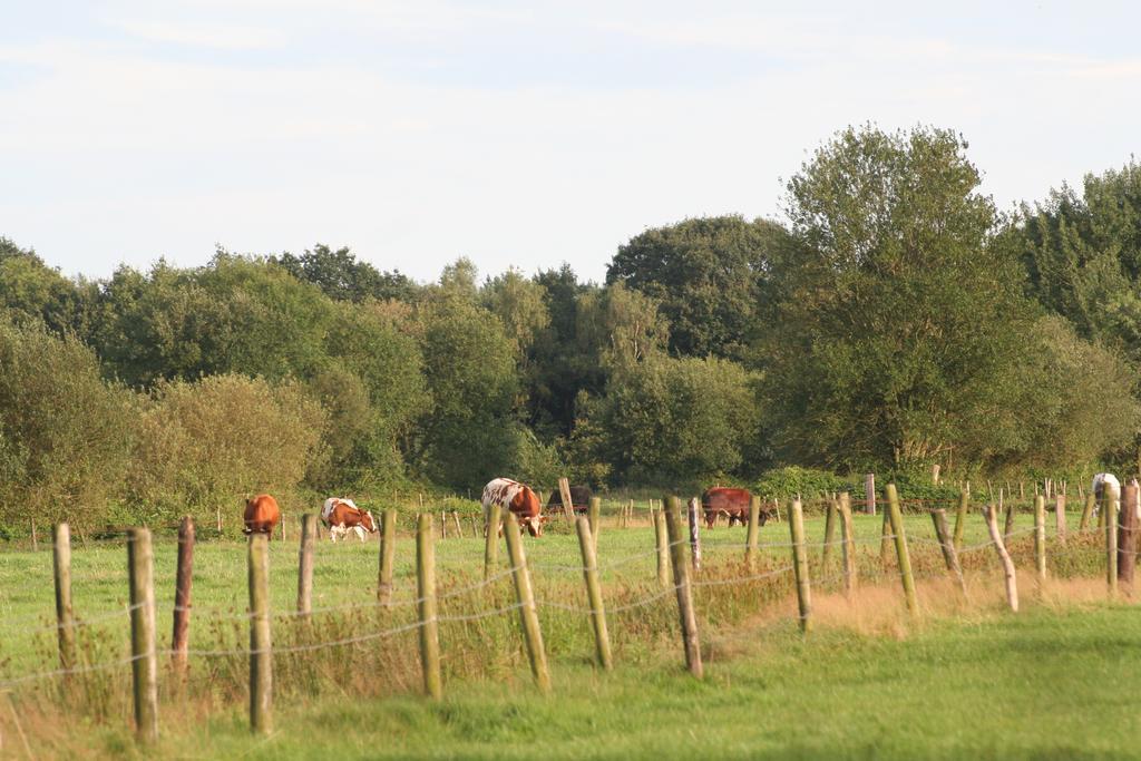 Vakantiehuis Weideblik Biezenmortel Exteriör bild